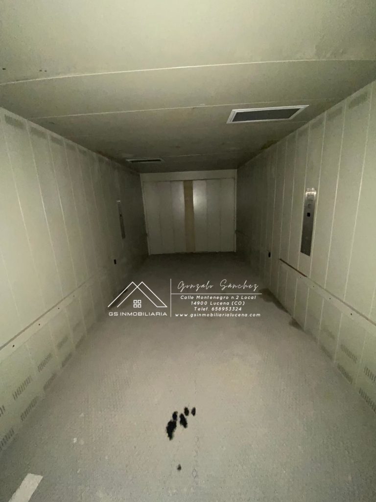 WhatsApp20Image202025-03-2420at2017.08.182028229-1