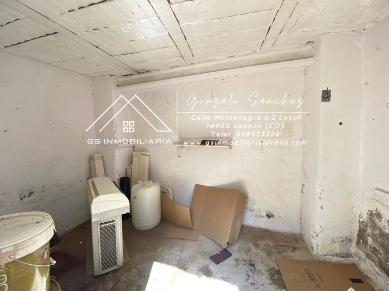 WhatsApp20Image202025-03-2520at2012.39.532028229