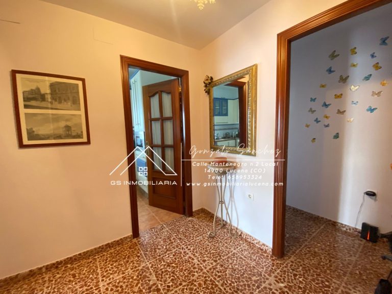 WhatsApp20Image202025-04-0920at2017.43.30