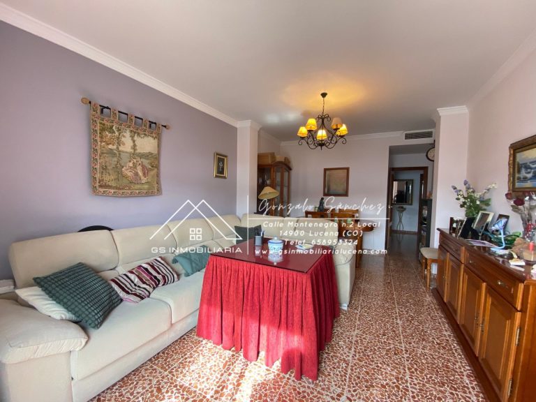 WhatsApp20Image202025-04-0920at2017.43.32