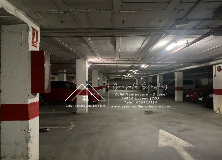 WhatsApp20Image202025-04-2320at2011.51.04