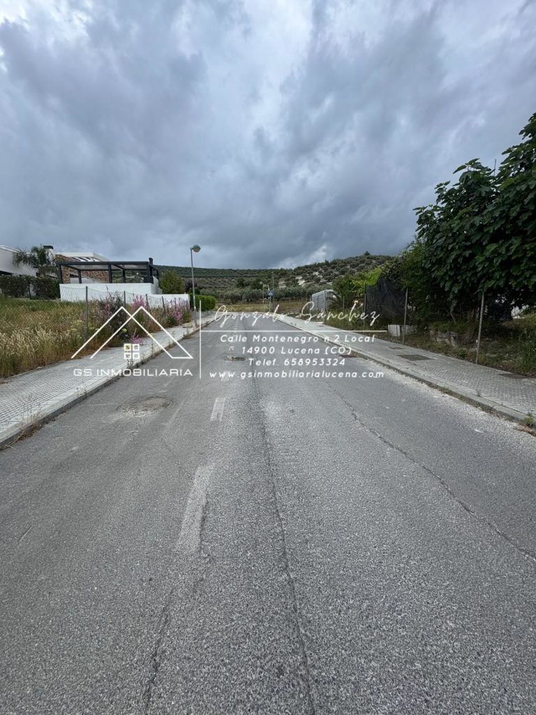 WhatsApp20Image202025-05-2620at2010.37.512028129