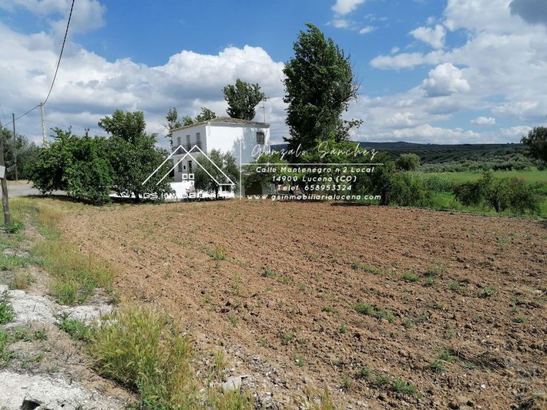 WhatsApp20Image202025-05-3020at2009.49.17