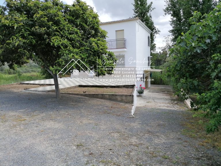 WhatsApp20Image202025-05-3020at2009.49.18