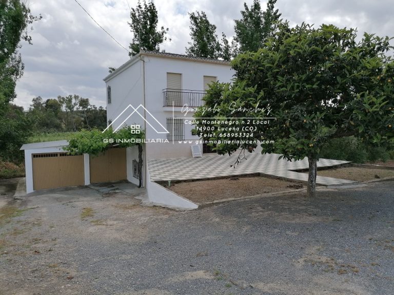 WhatsApp20Image202025-05-3020at2009.49.182028129