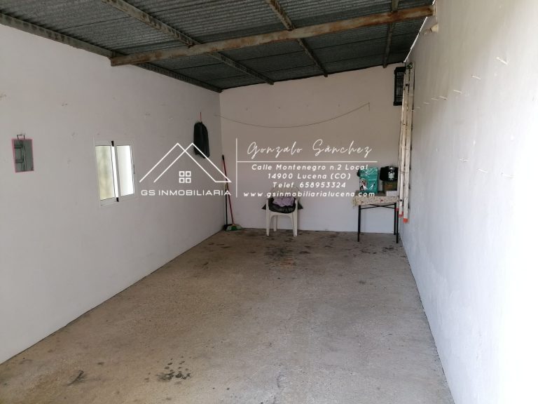 WhatsApp20Image202025-05-3020at2009.49.182028229