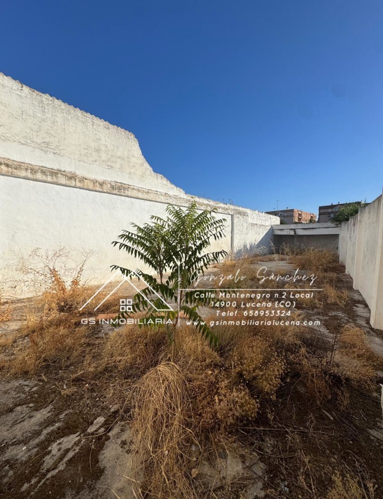 WhatsApp20Image202025-09-2320at2009.55.222028129