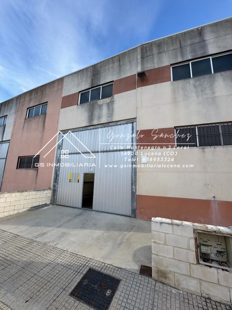 WhatsApp20Image202025-10-1520at2009.51.292028129