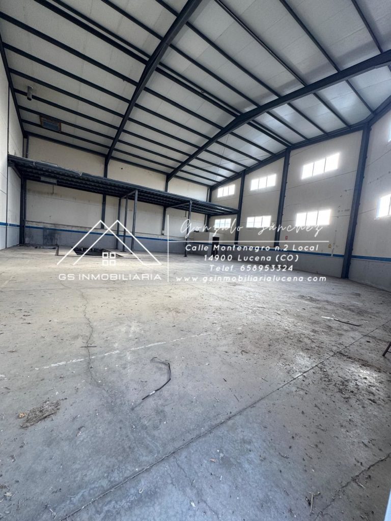 WhatsApp20Image202025-10-1520at2009.51.292028229