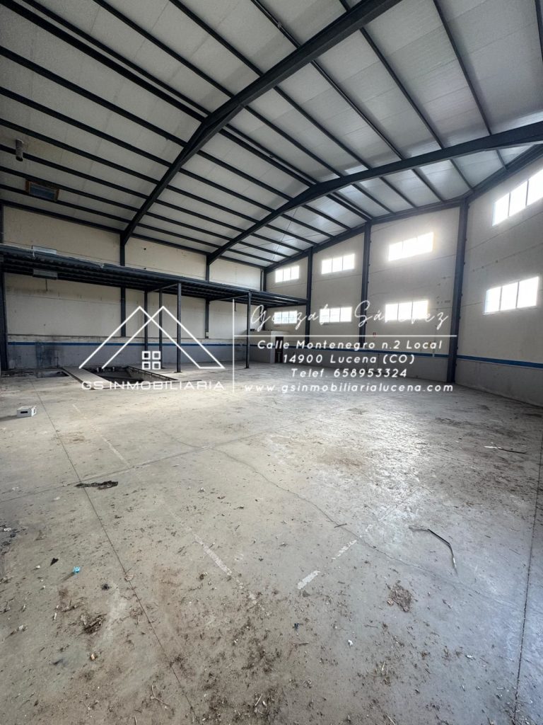 WhatsApp20Image202025-10-1520at2009.51.292028329