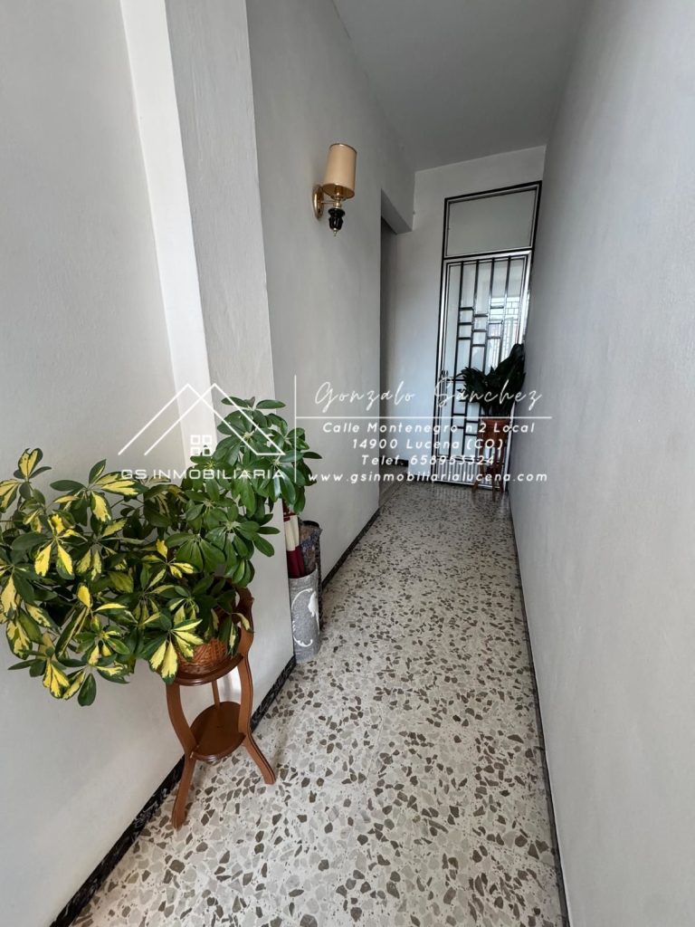 WhatsApp20Image202025-02-1720at2017.51.272028429