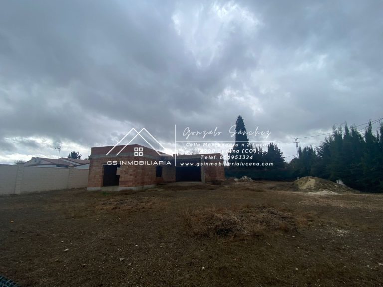 WhatsApp20Image202025-03-1320at2018.06.00