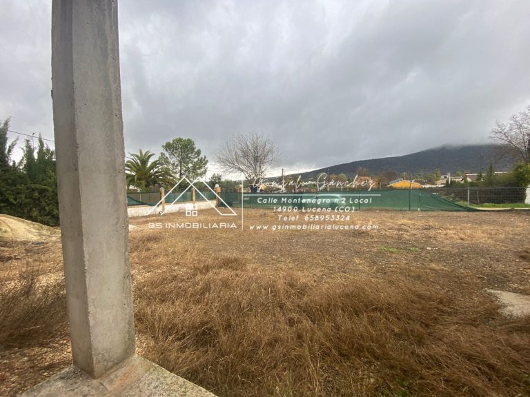 WhatsApp20Image202025-03-1320at2018.06.002028229