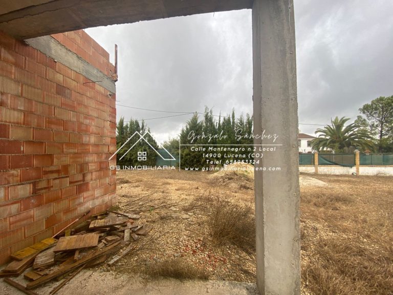 WhatsApp20Image202025-03-1320at2018.06.01