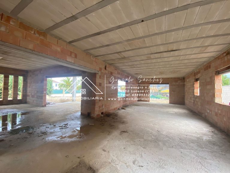 WhatsApp20Image202025-03-1320at2018.06.012028229