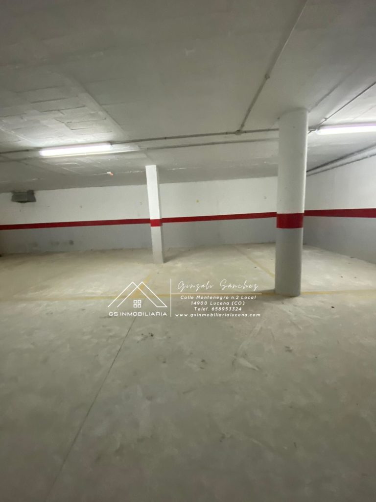 WhatsApp20Image202025-03-2420at2017.08.192028129-1