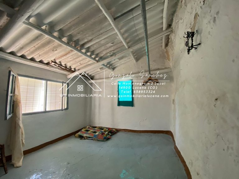 WhatsApp20Image202025-05-1620at2010.19.03