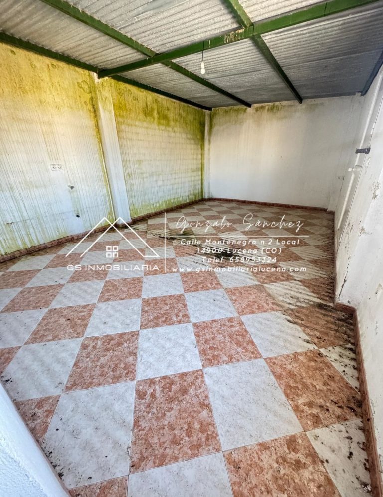 WhatsApp20Image202025-05-2020at2010.10.102028729