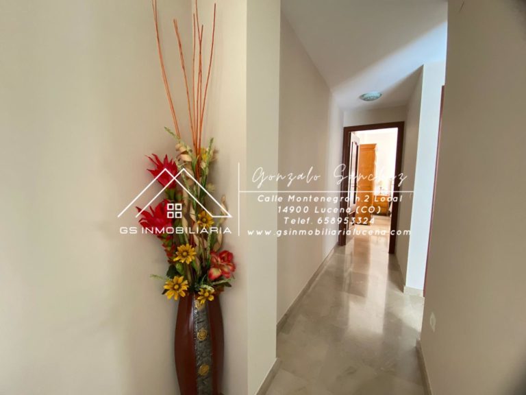 WhatsApp20Image202025-06-2320at2012.26.402028129