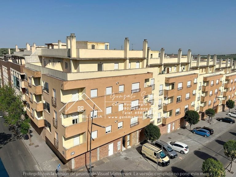 WhatsApp20Image202025-07-0220at2012.53.54