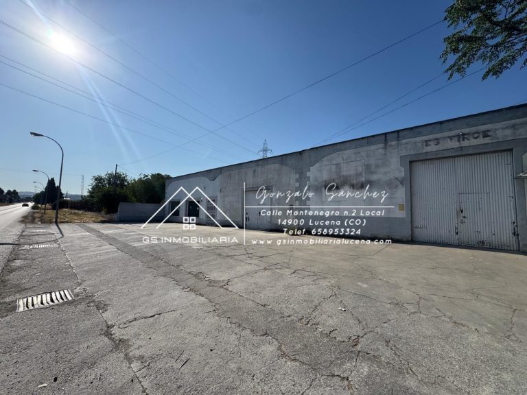 WhatsApp20Image202025-07-3020at2010.05.17-1