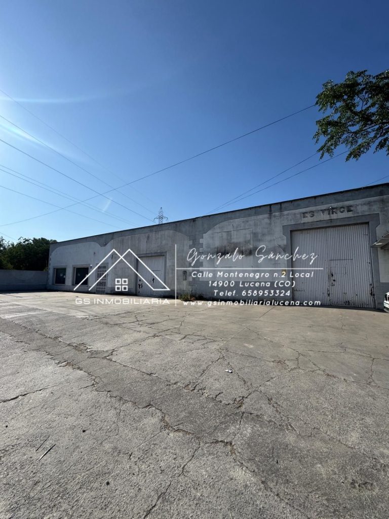 WhatsApp20Image202025-07-3020at2010.05.172028129-1