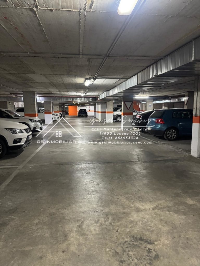 WhatsApp20Image202025-09-0220at2018.00.15