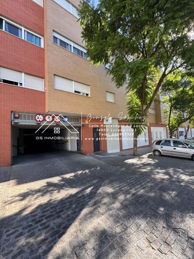 WhatsApp20Image202025-09-0220at2018.00.152028329-1