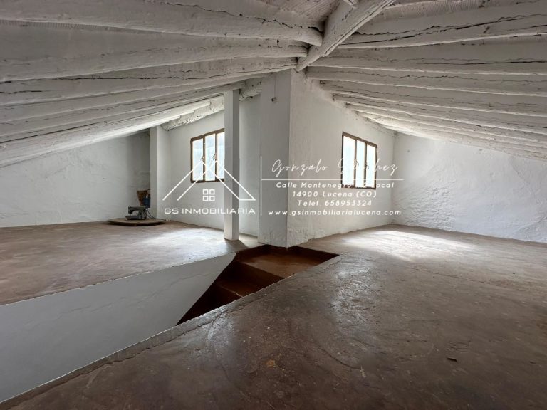 WhatsApp20Image202025-09-0820at2012.44.022028129-1