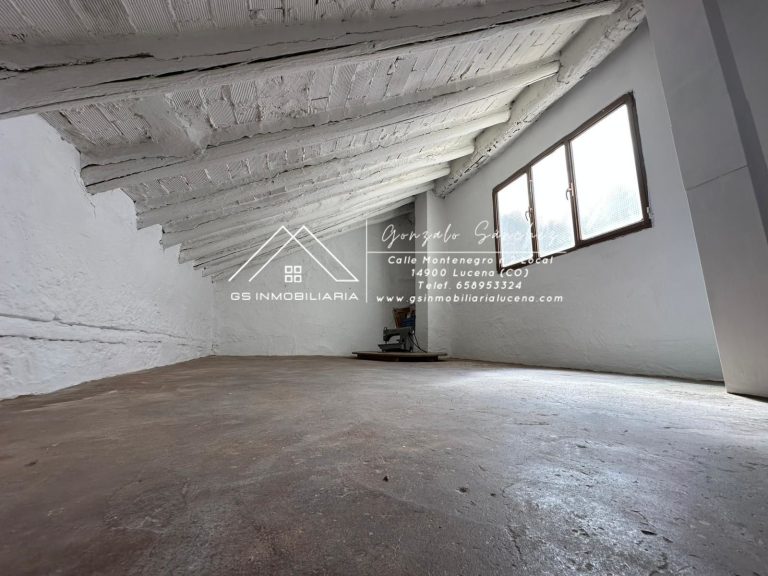 WhatsApp20Image202025-09-0820at2012.44.03-1