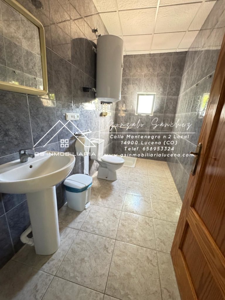 WhatsApp20Image202025-09-1020at2010.45.042028329-1