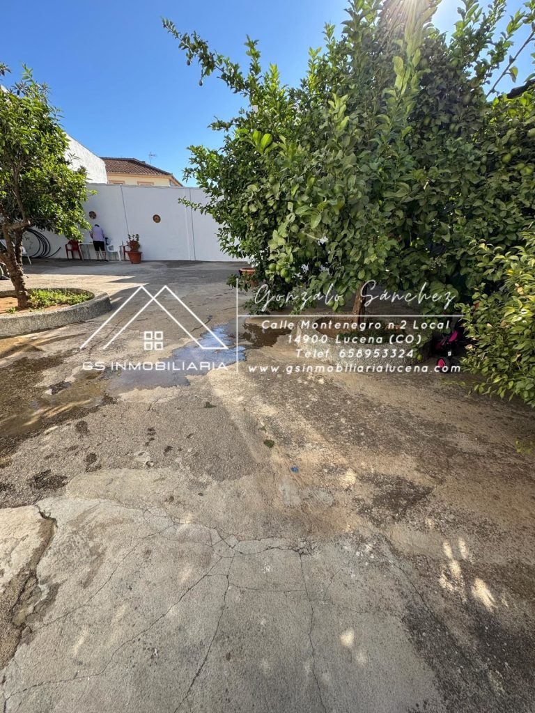 WhatsApp20Image202025-09-1020at2010.45.06-1