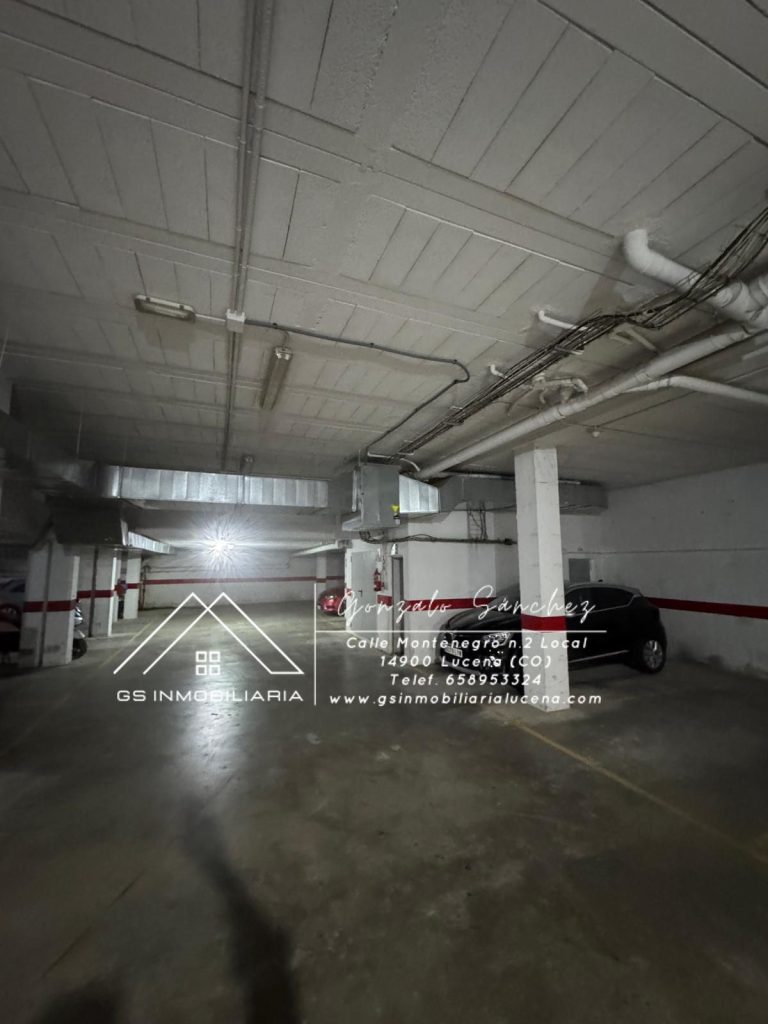 WhatsApp20Image202025-09-2920at2019.36.41-1