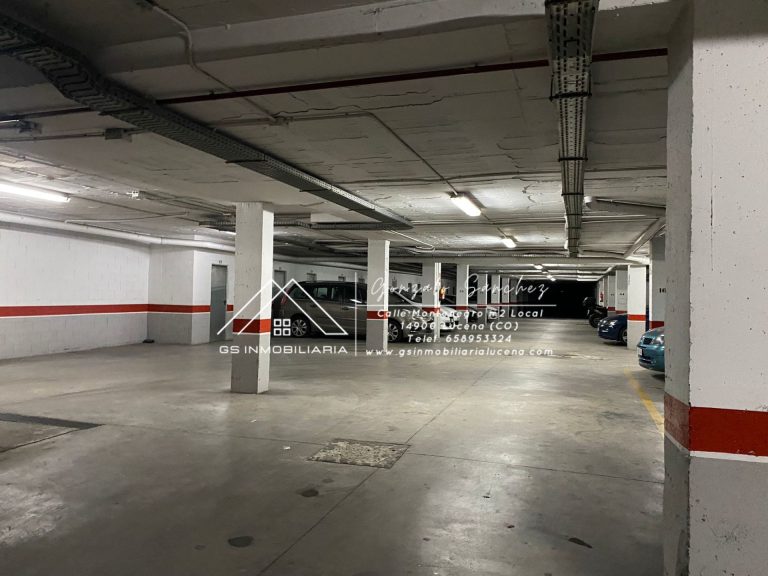 WhatsApp20Image202025-03-1020at2018.38.13