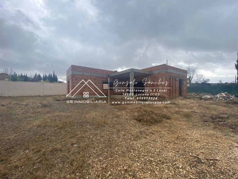 WhatsApp20Image202025-03-1320at2018.06.002028129