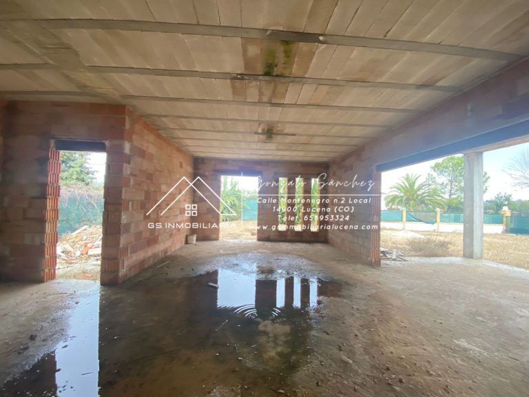 WhatsApp20Image202025-03-1320at2018.06.012028129