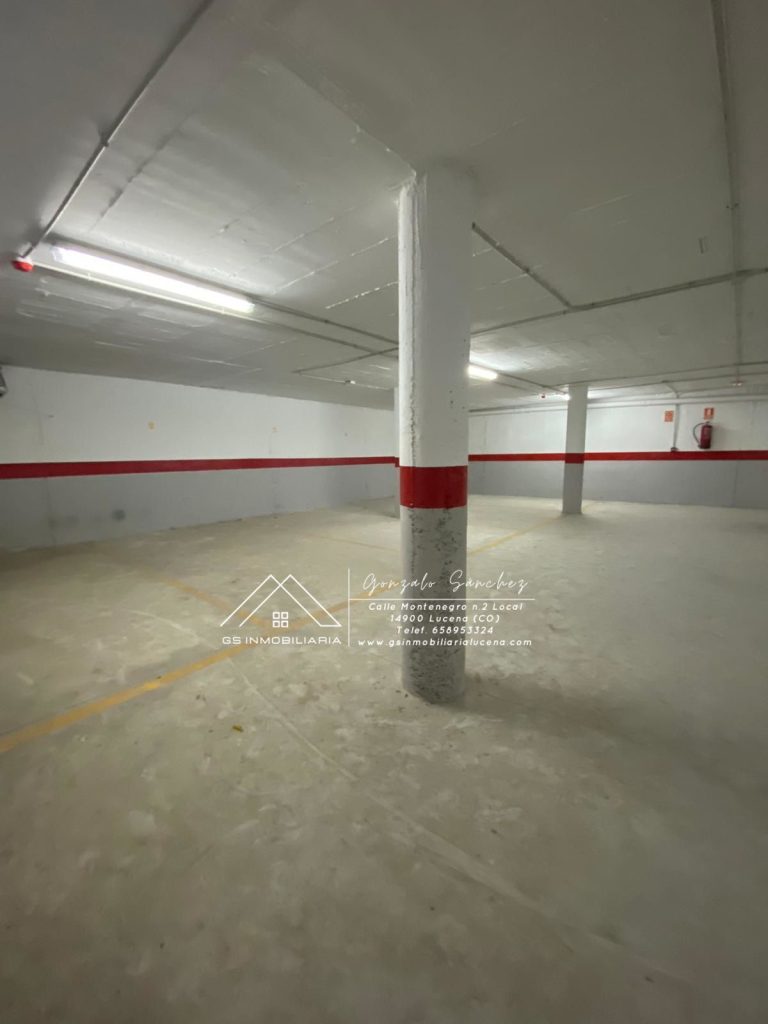 WhatsApp20Image202025-03-2420at2017.08.192028329