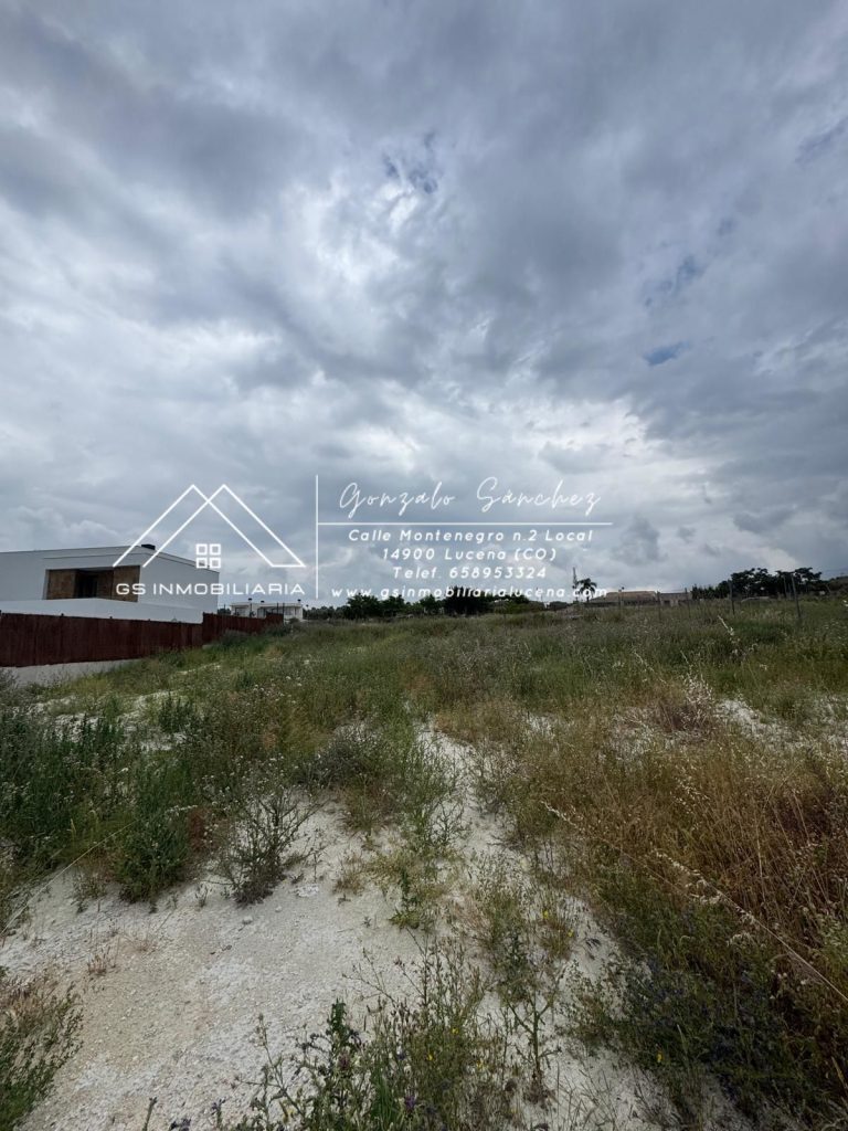 WhatsApp20Image202025-05-2620at2010.37.512028229