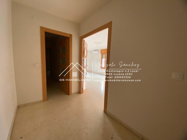 WhatsApp20Image202025-05-2920at2019.36.06