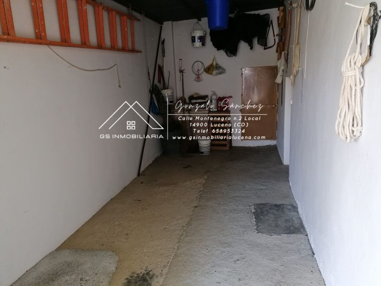 WhatsApp20Image202025-05-3020at2009.49.182028329