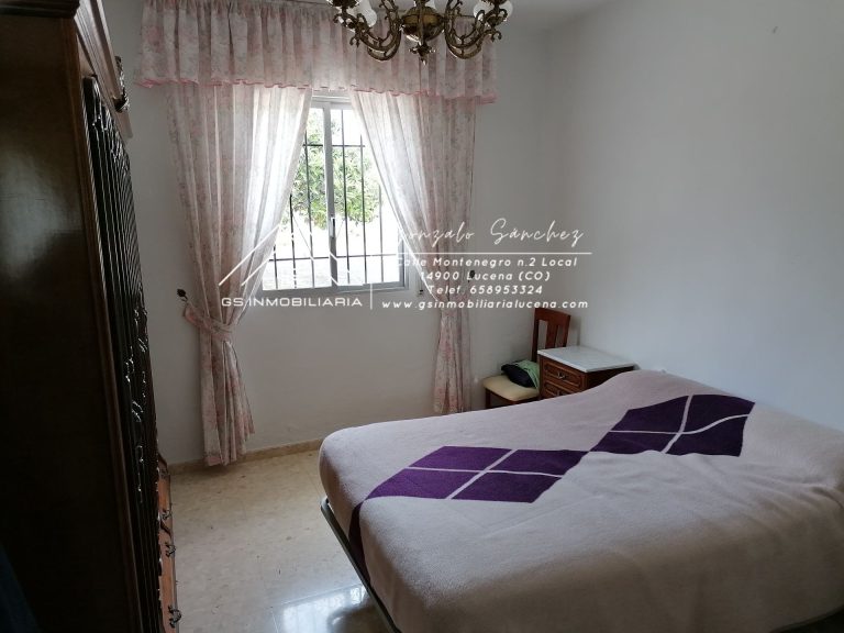 WhatsApp20Image202025-05-3020at2009.49.212028329