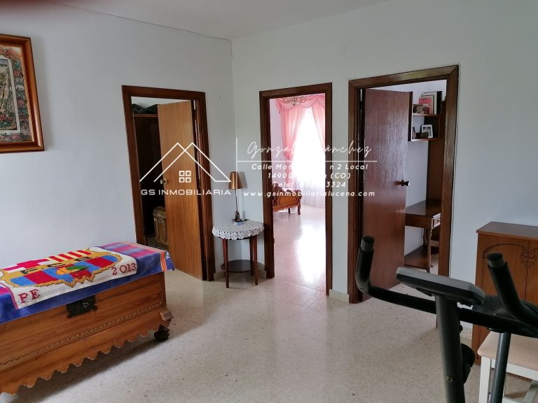 WhatsApp20Image202025-05-3020at2009.49.222028229