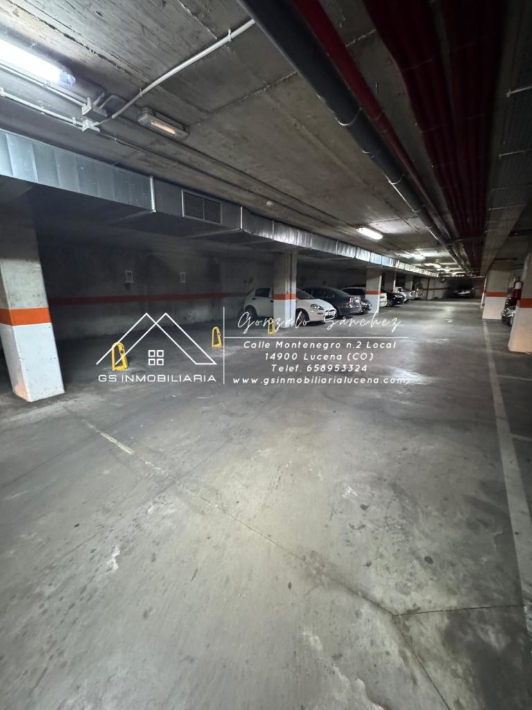 WhatsApp20Image202025-09-0220at2018.00.152028229