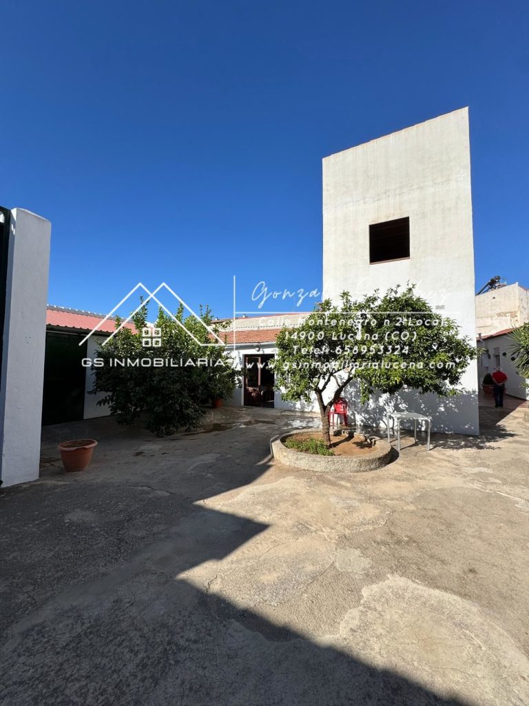 WhatsApp20Image202025-09-1020at2010.45.062028129