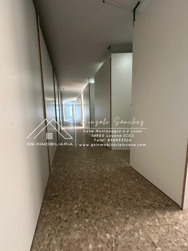 WhatsApp20Image202025-10-0220at2010.58.122028329