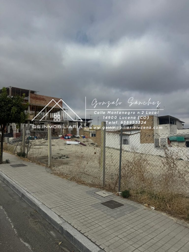 WhatsApp20Image202025-10-2020at2012.48.06