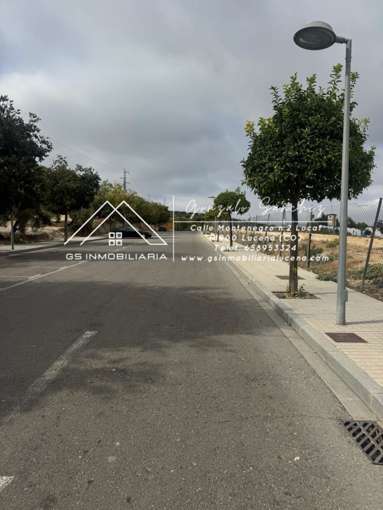 WhatsApp20Image202025-10-2020at2012.48.062028229