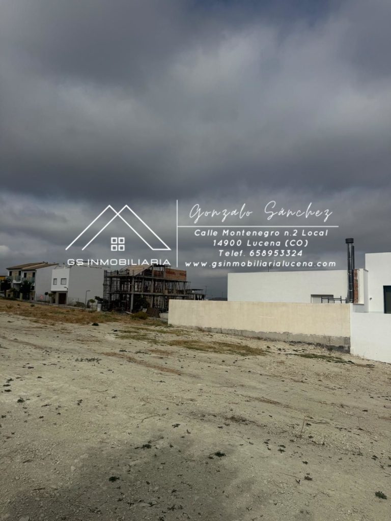 WhatsApp20Image202025-10-2020at2012.48.062028429