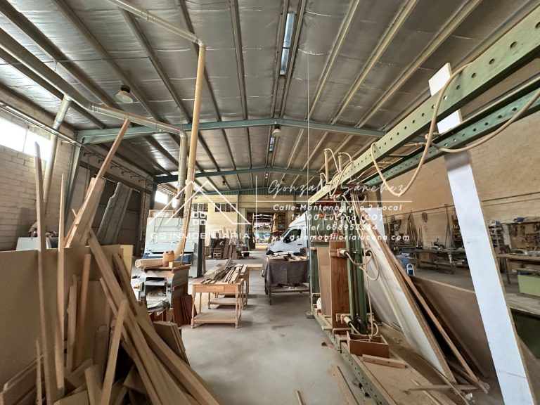 WhatsApp20Image202025-10-2120at2013.07.182028129