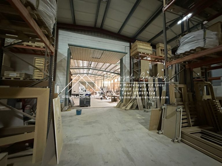 WhatsApp20Image202025-10-2120at2013.07.182028329